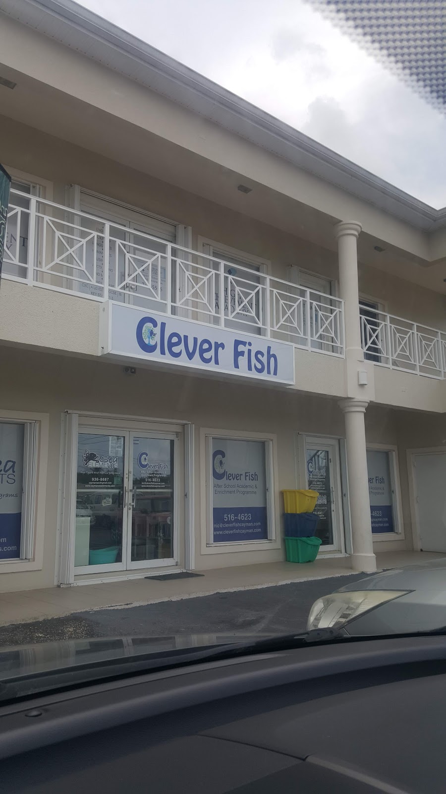 Clever Fish School